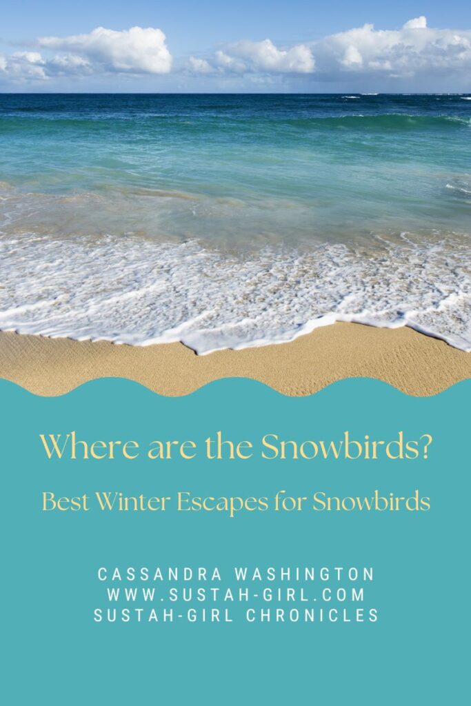 Winter Escapes for Snowbirds