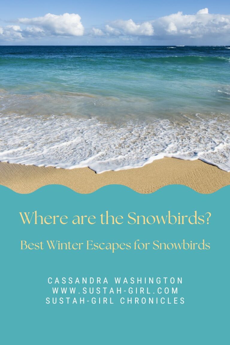 Winter Escapes for Snowbirds